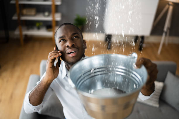 Best Water damage restoration near me  in Lesslie, SC