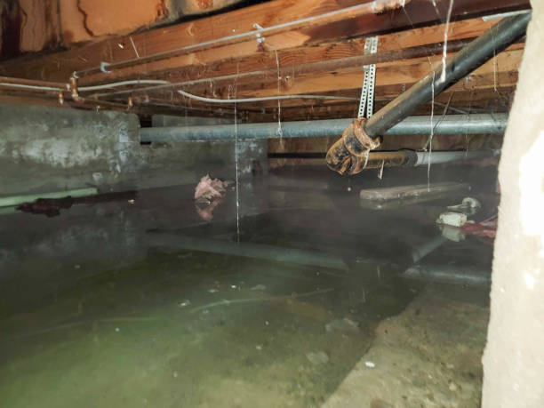 Best 24-hour water damage restoration  in Lesslie, SC