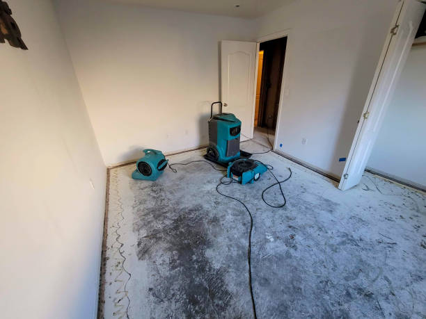 Best Flood restoration services  in Lesslie, SC