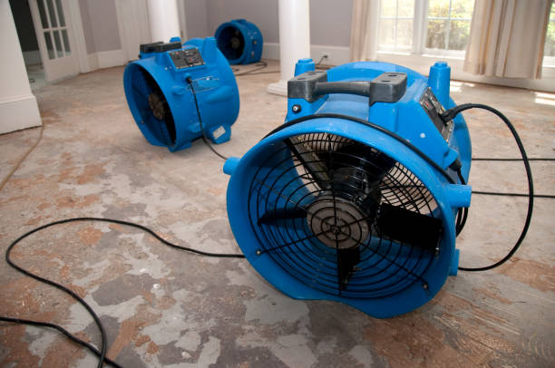 Best Commercial water damage restoration  in Lesslie, SC