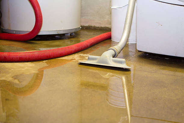 Best Professional water damage repair  in Lesslie, SC